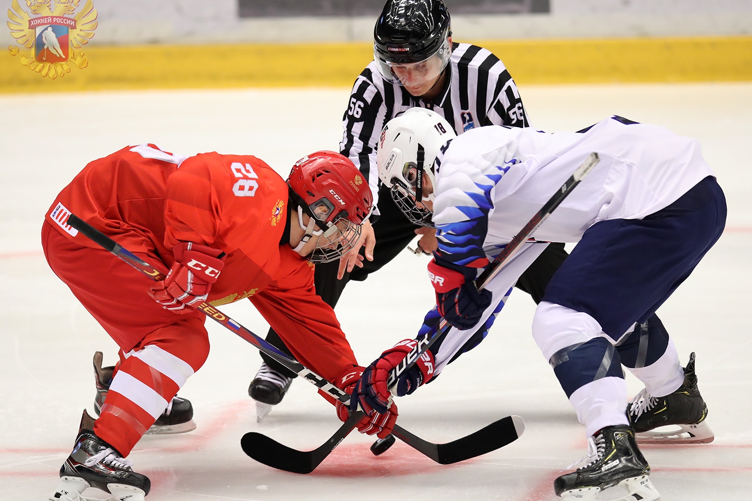 Новости хоккея