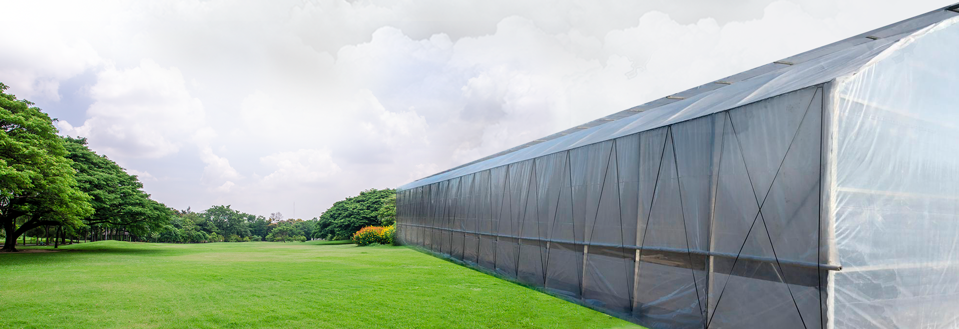 Чем отличается промышленная теплица