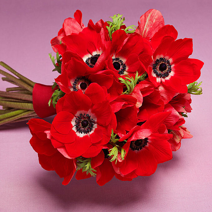 Чем привлекательны букеты из анемонов