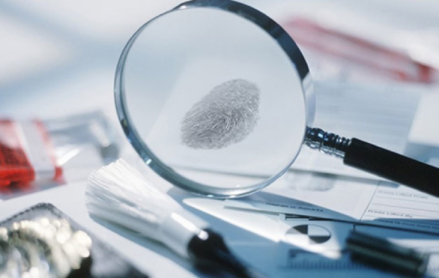 Что такое судебная экспертиза и зачем она нужна