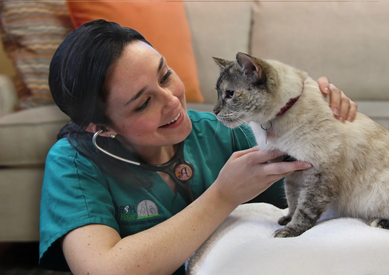 Преимущества вызова ветеринара на дом: комфорт и забота для ваших домашних животных