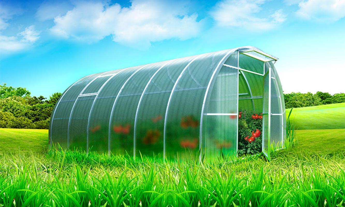 Как выбрать теплицу: советы для успешного выбора