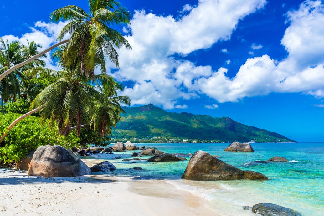 Как открыть компанию на Сейшелах?