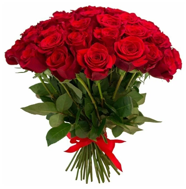 Поводы, чтобы подарить букет роз: язык любви и красота в каждой стебле