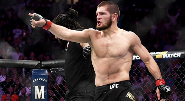 Единоборства – новый тренд в ставках на спорт