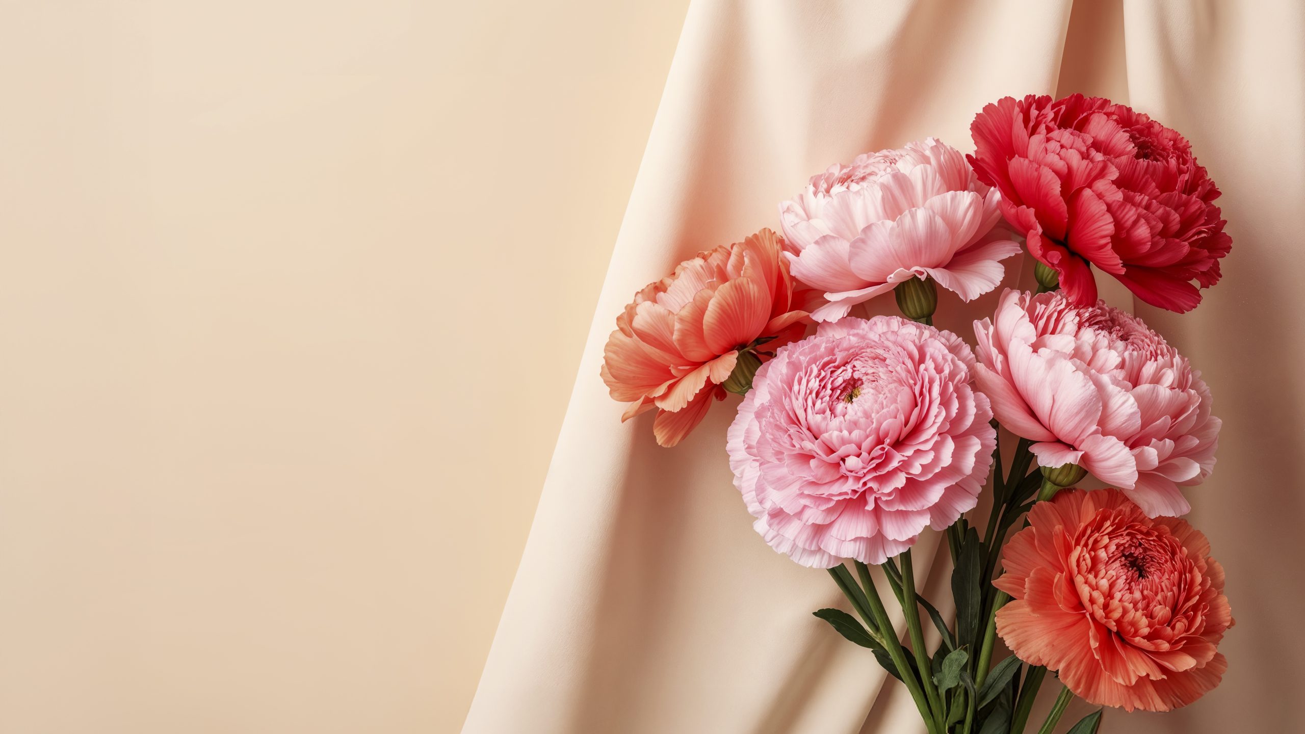 Пионы: королевские цветы по доступной цене в Москве