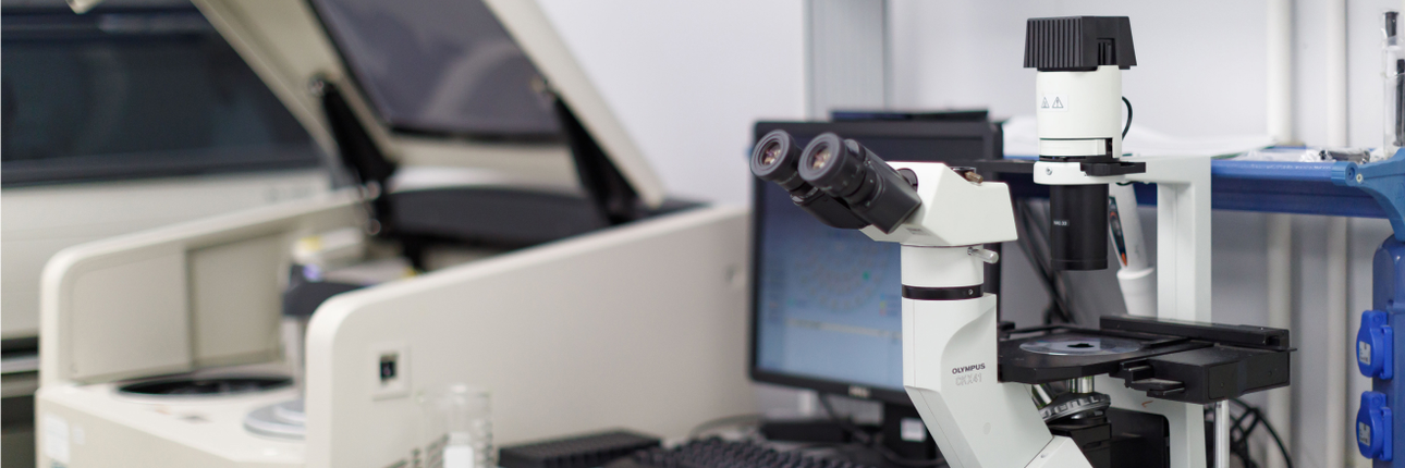 Исследования в области готовых лекарственных форм: пути оптимизации и перспективы развития