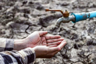 Андрей Травников посетовал на нехватку булочек на избирательных участках в Новосибирске