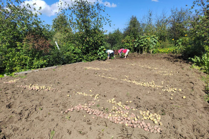 Секреты идеального дачного компоста раскрыл агрохимик Мармулев