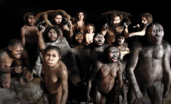 Найдено самое старое сооружение из дерева — оно меняет представление о древних людях - Hi-News.ru