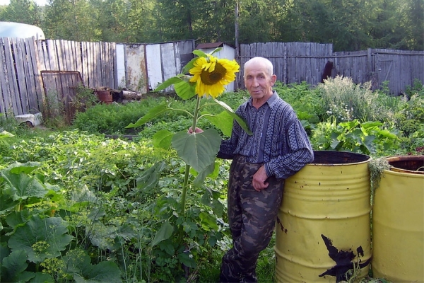 Тля сожрет всё: о влиянии ливней и жары на посадки рассказал агроном Мармулев