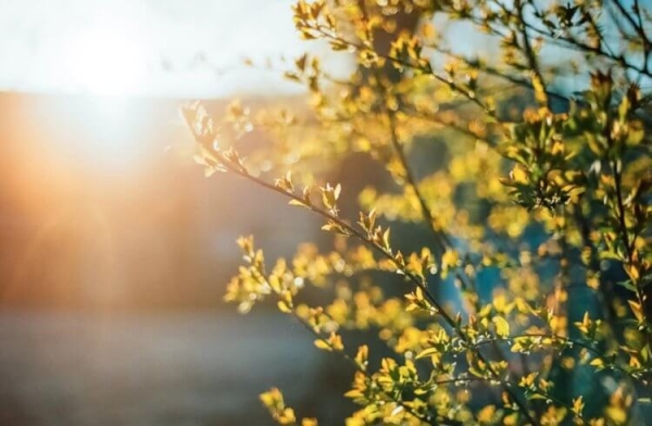 Почему в мае 2024 года холодно и идет снег - Hi-News.ru