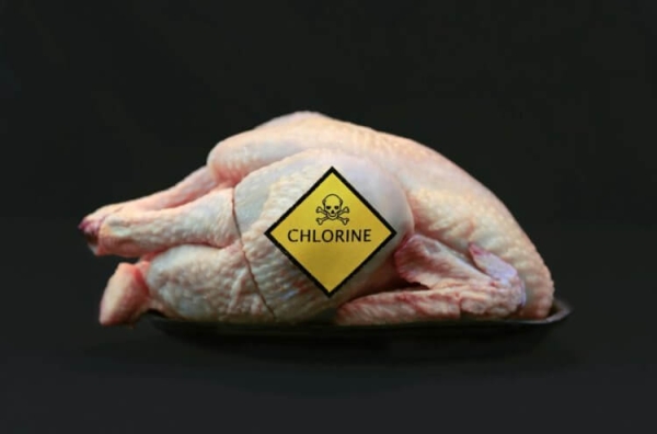 Какая «химия» содержится в курице из магазина - Hi-News.ru