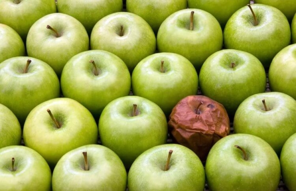 Можно ли есть подгнившие фрукты и овощи, которые продаются в магазинах со скидкой - Hi-News.ru