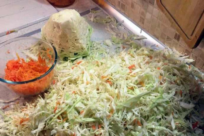 Когда рубить и квасить капусту осенью-2023, рассказали эксперты