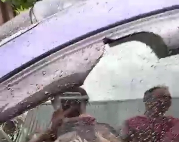 Град с куриное яйцо побил машины и огороды в Новосибирской области