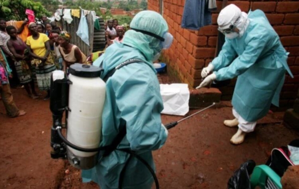 Вирус Марбург: что известно о болезни, которая может стать причиной новой эпидемии? - Hi-News.ru