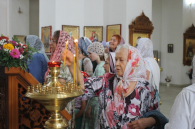 Поляну редких неприличных грибов обнаружила в лесу жительница Новосибирска