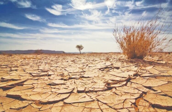 Песок из Сахары добрался даже до США — как он преодолевает 8 тысяч километров - Hi-News.ru