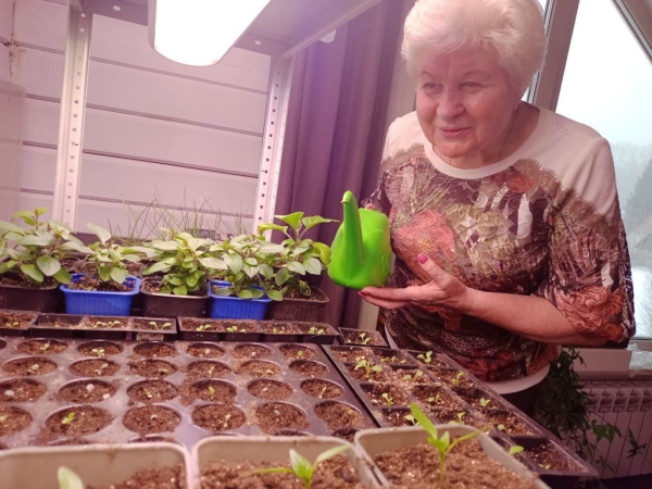 Осиновый кол и картошка с солью – назван топ-5 странных примет для дачников