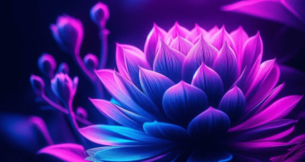 Какие люди могут видеть ультрафиолетовый цвет - Hi-News.ru