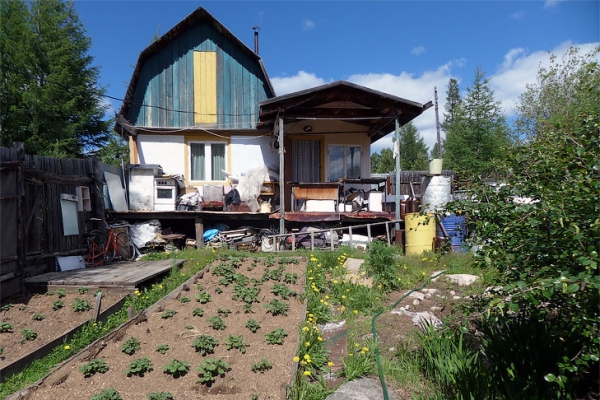 Тля сожрет всё: о влиянии ливней и жары на посадки рассказал агроном Мармулев