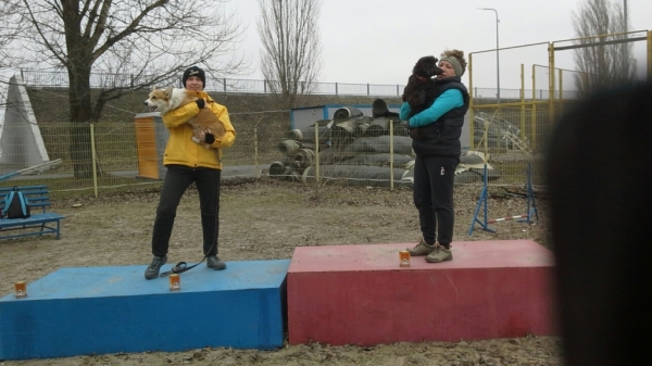 В донской столице прошел II этап Гран-При по аджилити 