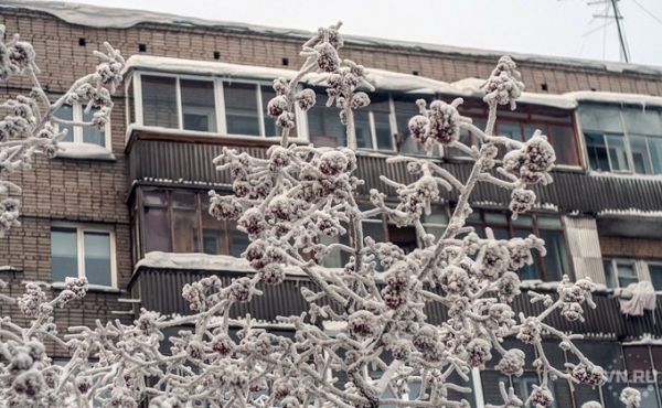 -50 градусов мороза зафиксировано в Сузунском районе