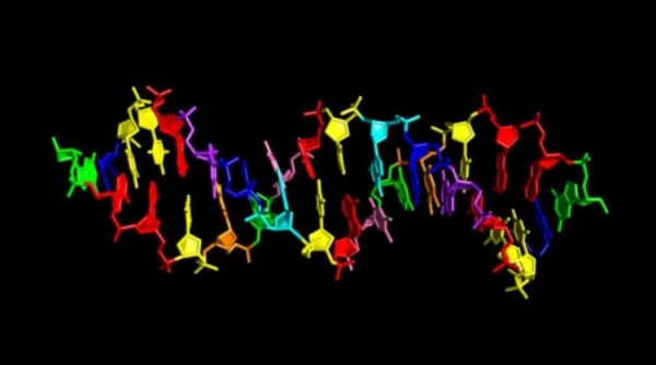 Причудливая ДНК из восьми букв может принадлежать инопланетянам