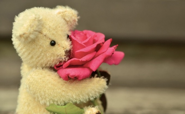 Самым популярным подарком на День святого Валентина стали мишки