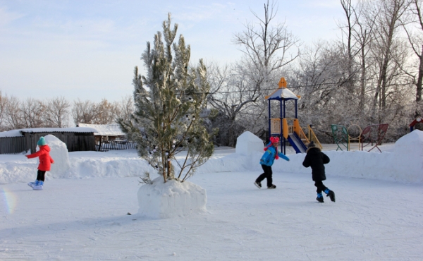 Где покататься на коньках в Довольном: список и отзывы