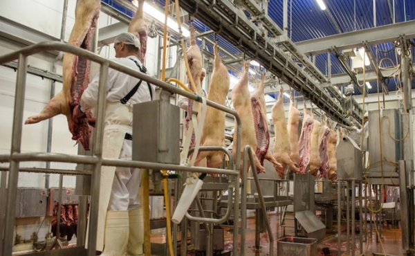 Кудряшовский мясокомбинат увеличил объемы реализации продукции