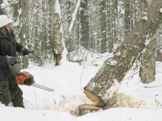 Природное богатство России оценили в 6 трлн рублей