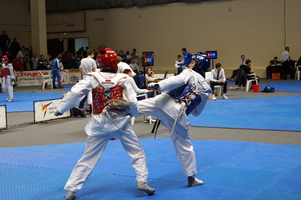 В донской столице стартовал Всероссийский турнир по тхэквондо &laquo;Кубок Дона&raquo;