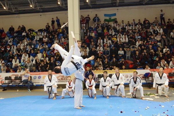В донской столице стартовал Всероссийский турнир по тхэквондо &laquo;Кубок Дона&raquo;