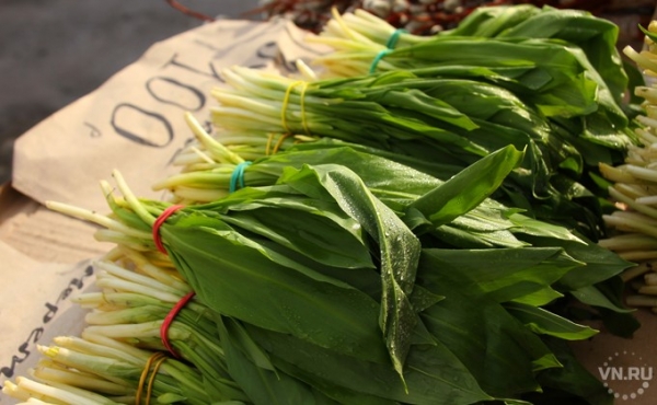 Первой черемшой с юга начали торговать в Новосибирске