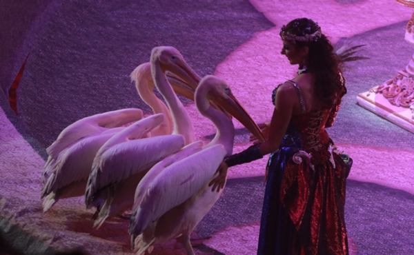 Цирк с королевским размахом приехал в Новосибирск