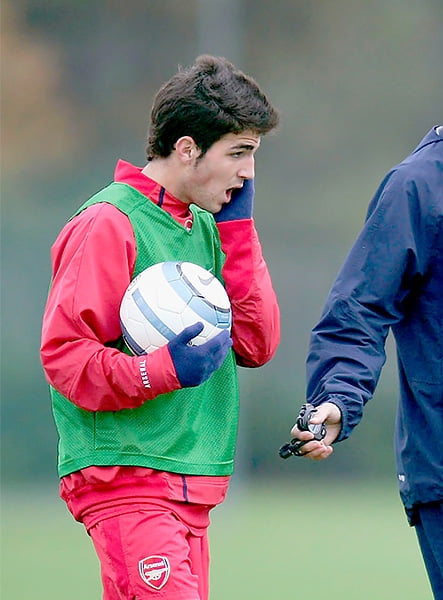 Фабрегас бросил пиццу в лицо Фергюсону, потому что не умел драться: новые подробности битвы в буфете