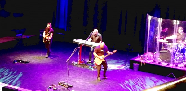 На концерте Трофимова в Омске его поклонницы выступали вместо подтанцовки