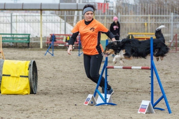 В донской столице определили &laquo;Мисс Аджилити&raquo; и &laquo;Мистера Икс&raquo; в кинологическом спорте
