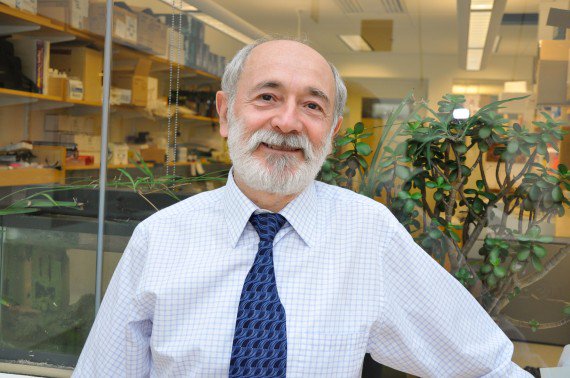 Создатель виртуальных ассистентов считает, что они обречены без нового подхода в области ИИ