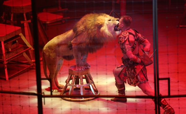 Цирк с королевским размахом приехал в Новосибирск