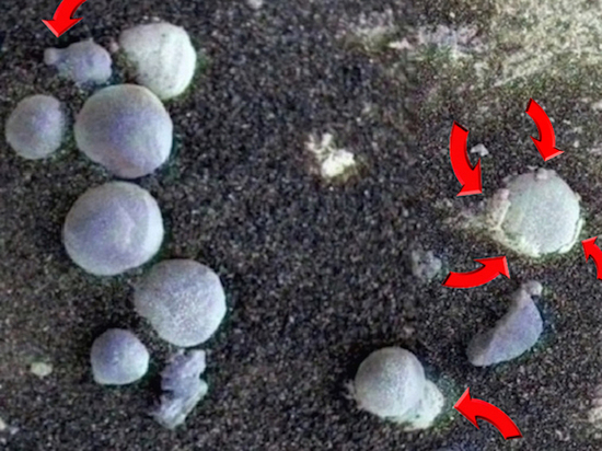 Ученые заметили «грибы» и «лишайник» на Марсе