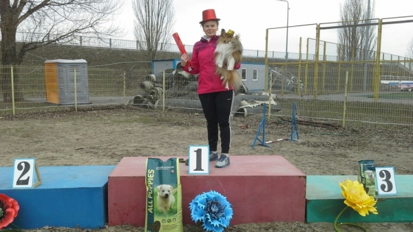 В донской столице определили &laquo;Мисс Аджилити&raquo; и &laquo;Мистера Икс&raquo; в кинологическом спорте