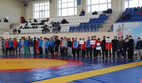 Ростовские борцы завоевали 14 медалей первенства ЮФО