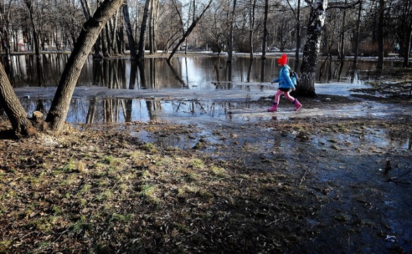 Погода 23 и 24 марта в Новосибирске: тепло, пасмурно, дождливо