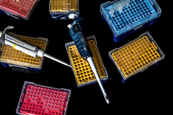 Выращивать человеческие органы у свиней. Что может пойти не так?