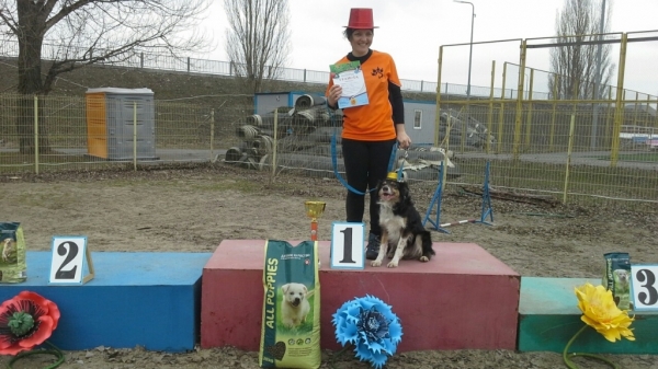 В донской столице определили &laquo;Мисс Аджилити&raquo; и &laquo;Мистера Икс&raquo; в кинологическом спорте