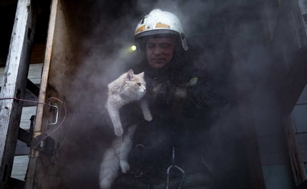 Фото пожарного, выносящего кота из огня, умилило новосибирцев