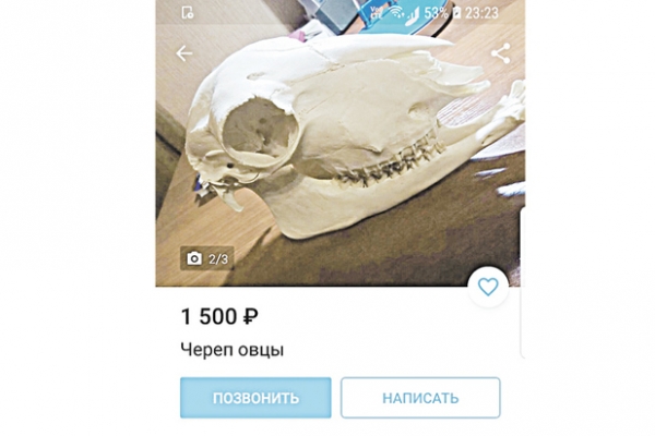 Деньги из хлама: кризис вынудил россиян массово торговать старыми вещами